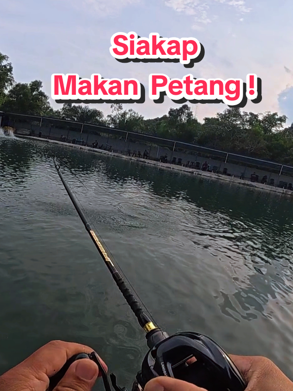 @Paan Pacak
