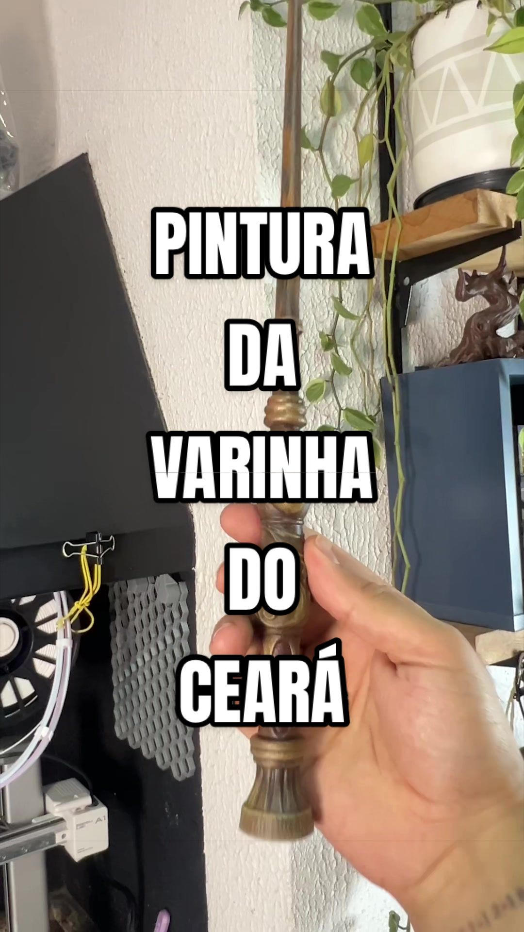@Kaio Medau