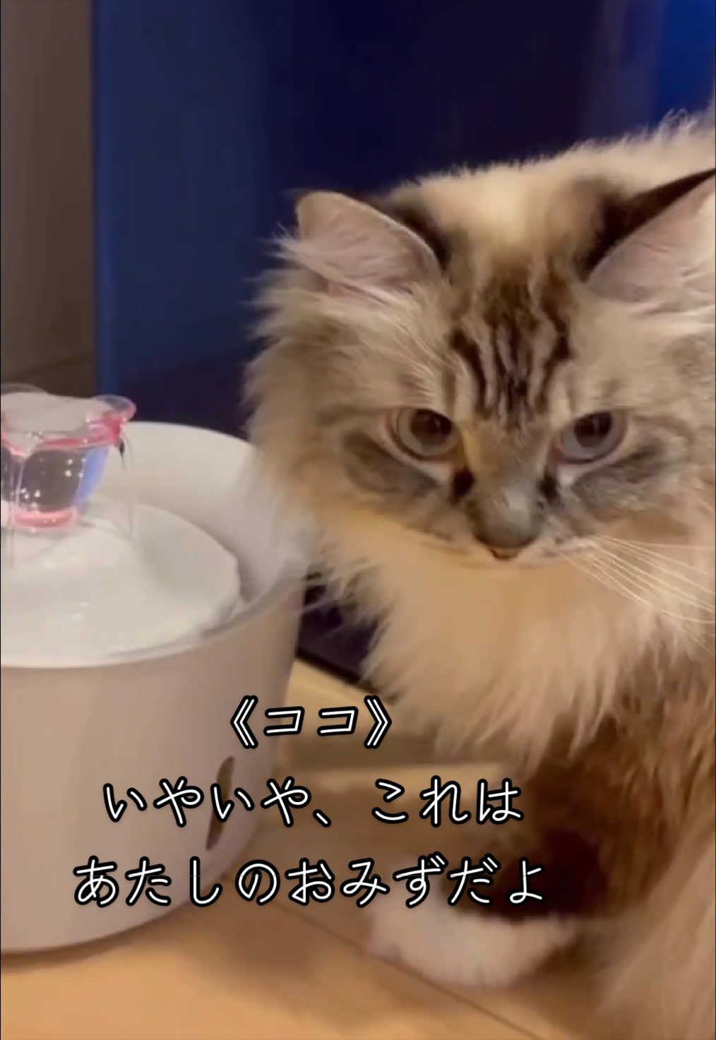@聴々物語PROJECT