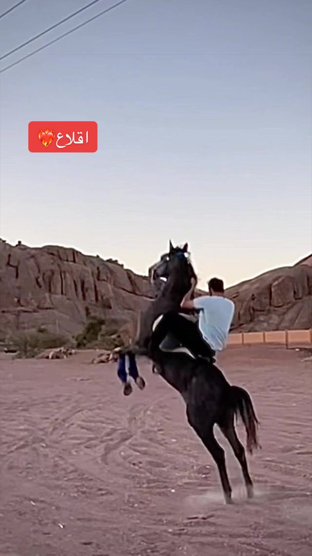 @سلطان بن عراكـ🌟