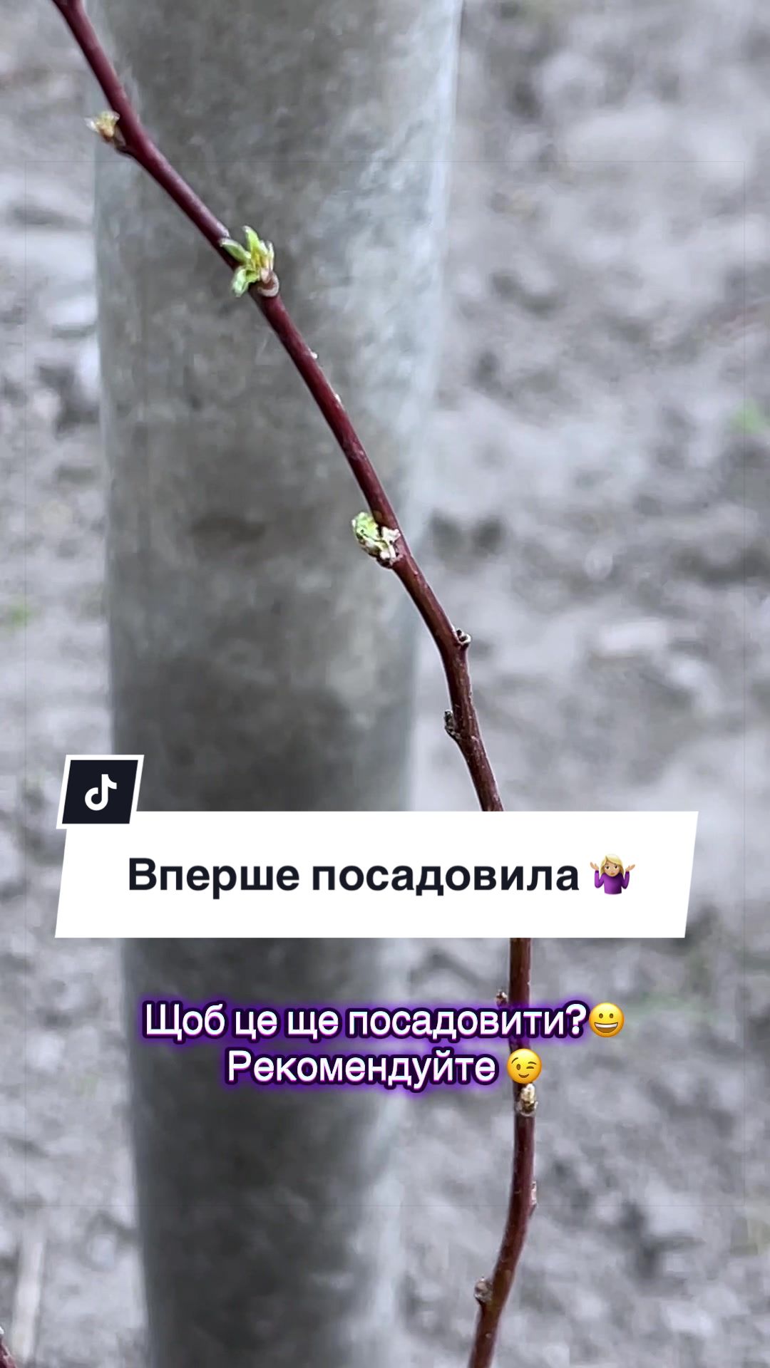 @marynchyna.s