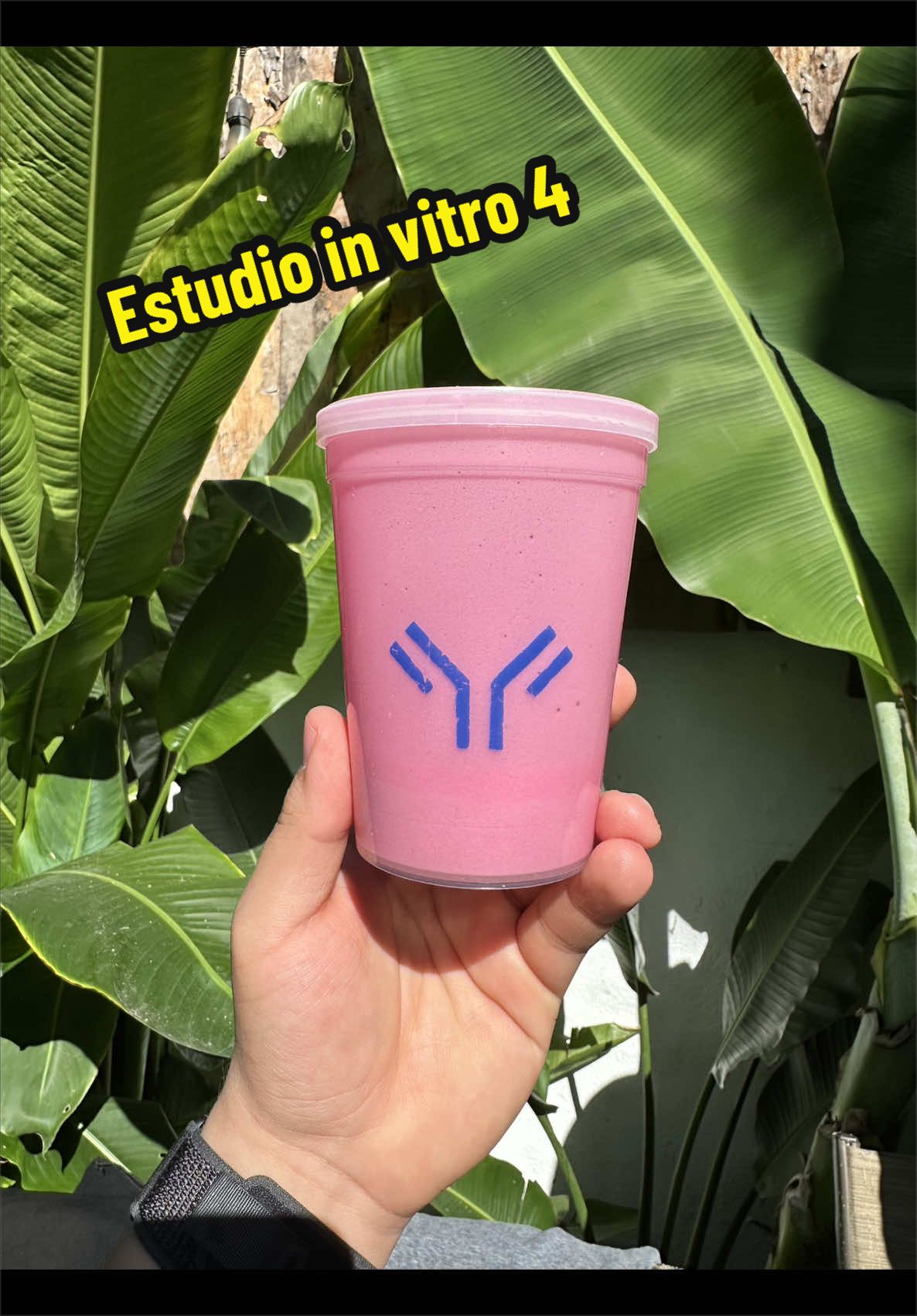 @V&iacute;ctor L&oacute;pez Ortiz | GSH