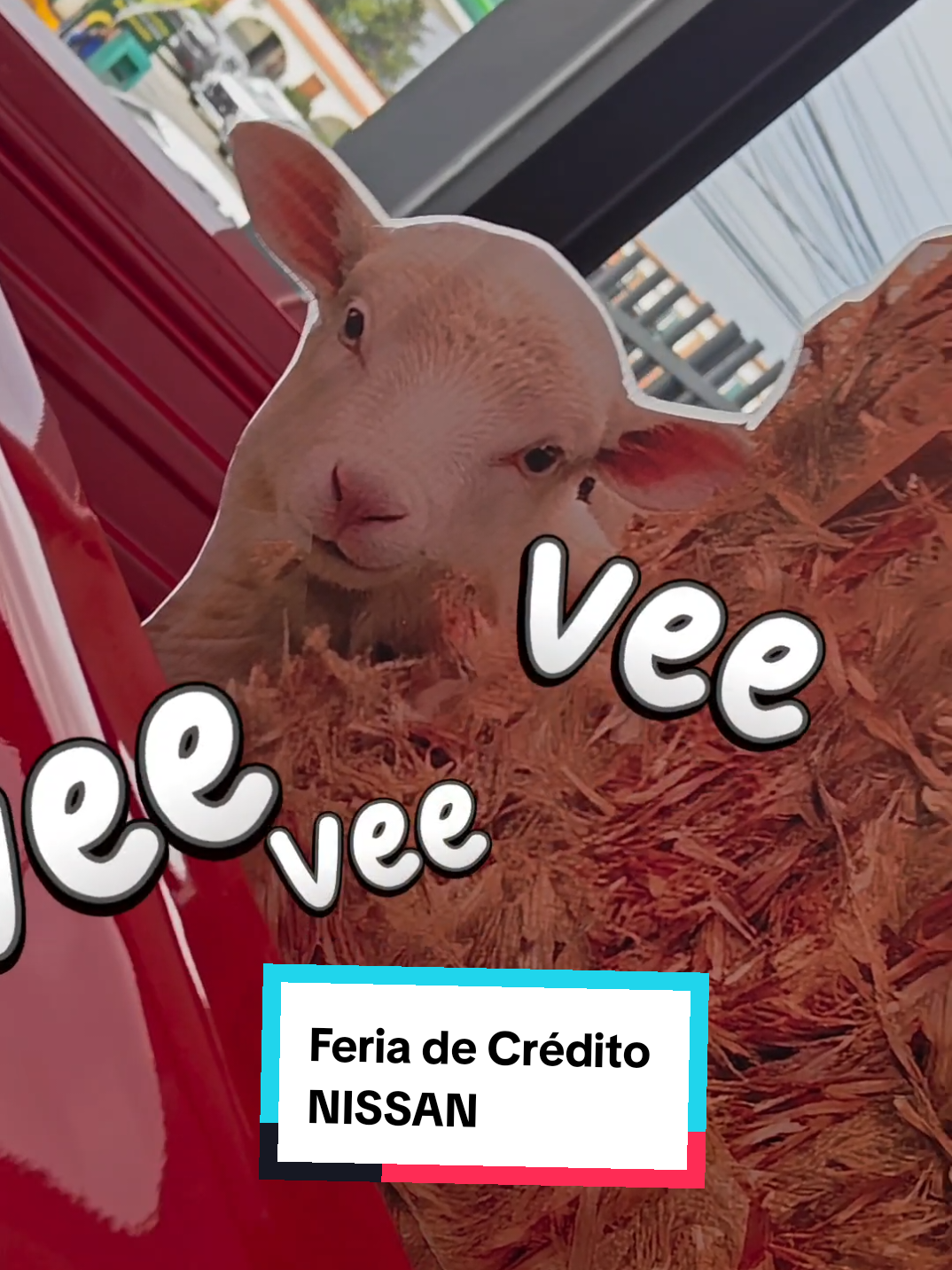 @Nissan Tecámac
