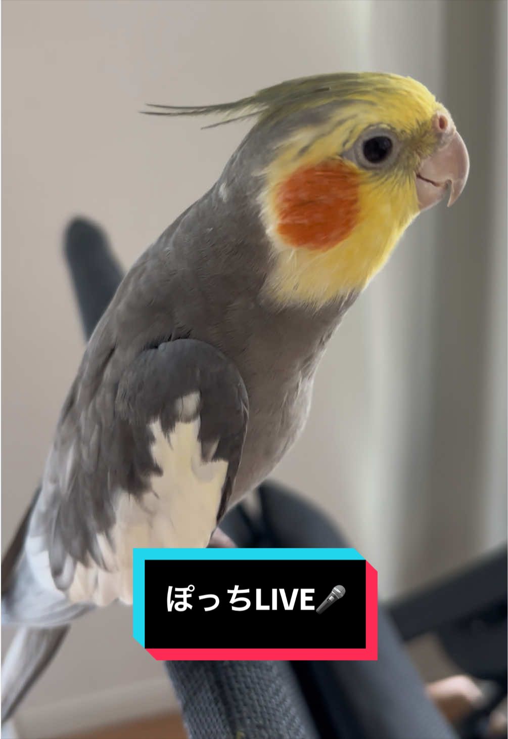 @ぬぬまる