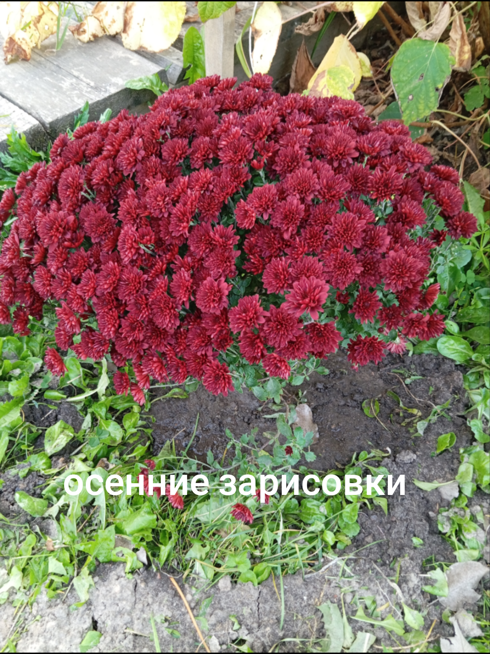 @Светлана Казымова