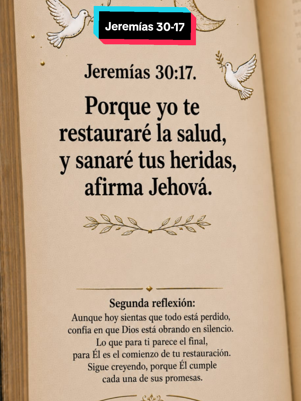 @🎊 Felicidad 🎊