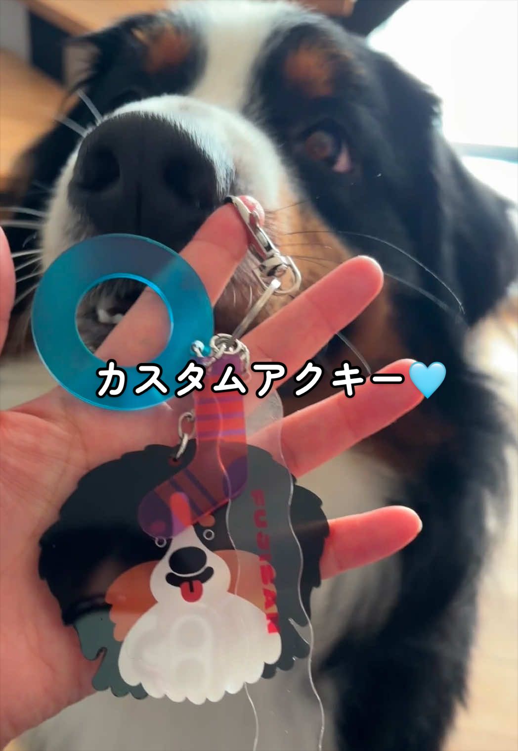 @å¯å£«å±±ð¶ð»ããŒããŒãºããŠã³ãã³ããã° - Fujisan