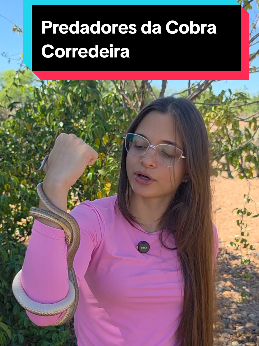 @Princesa das Serpentes