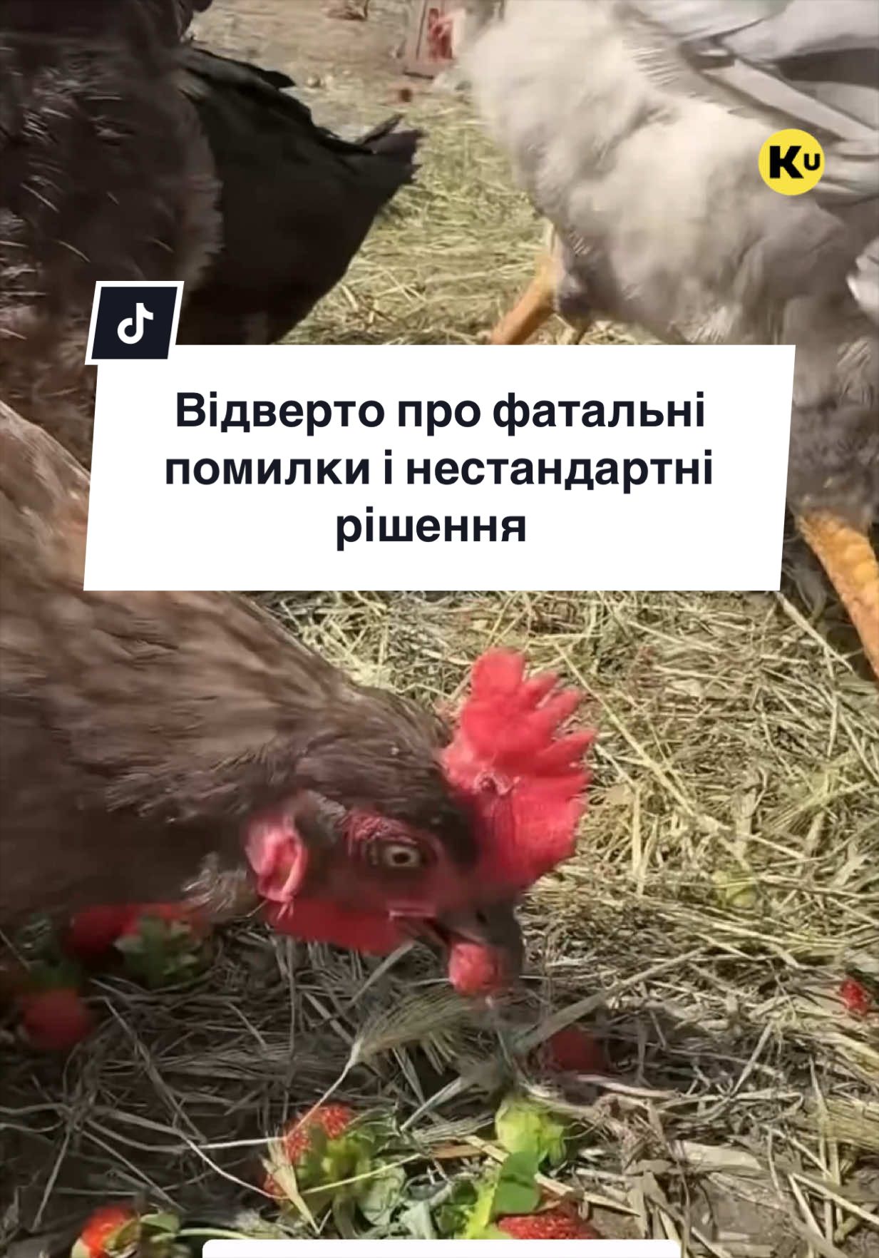 @Ku 🟨🟩 Lati – Agro Ukraine