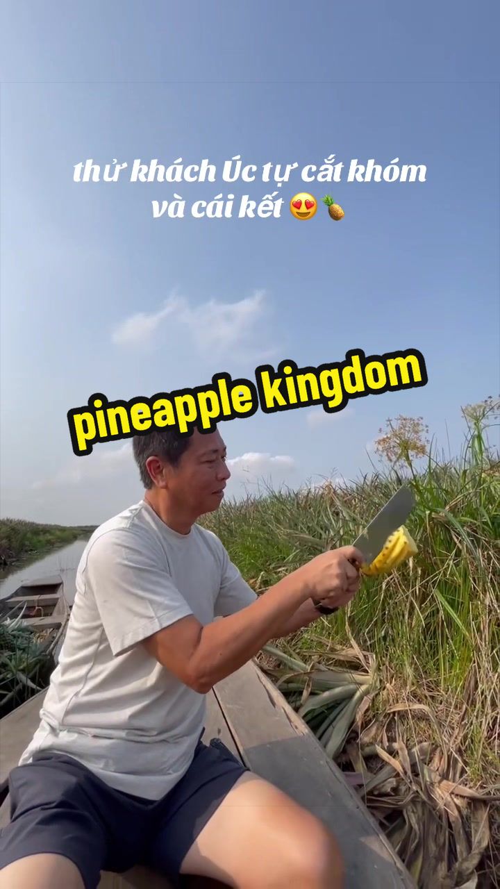 @Sunny Tour Guide