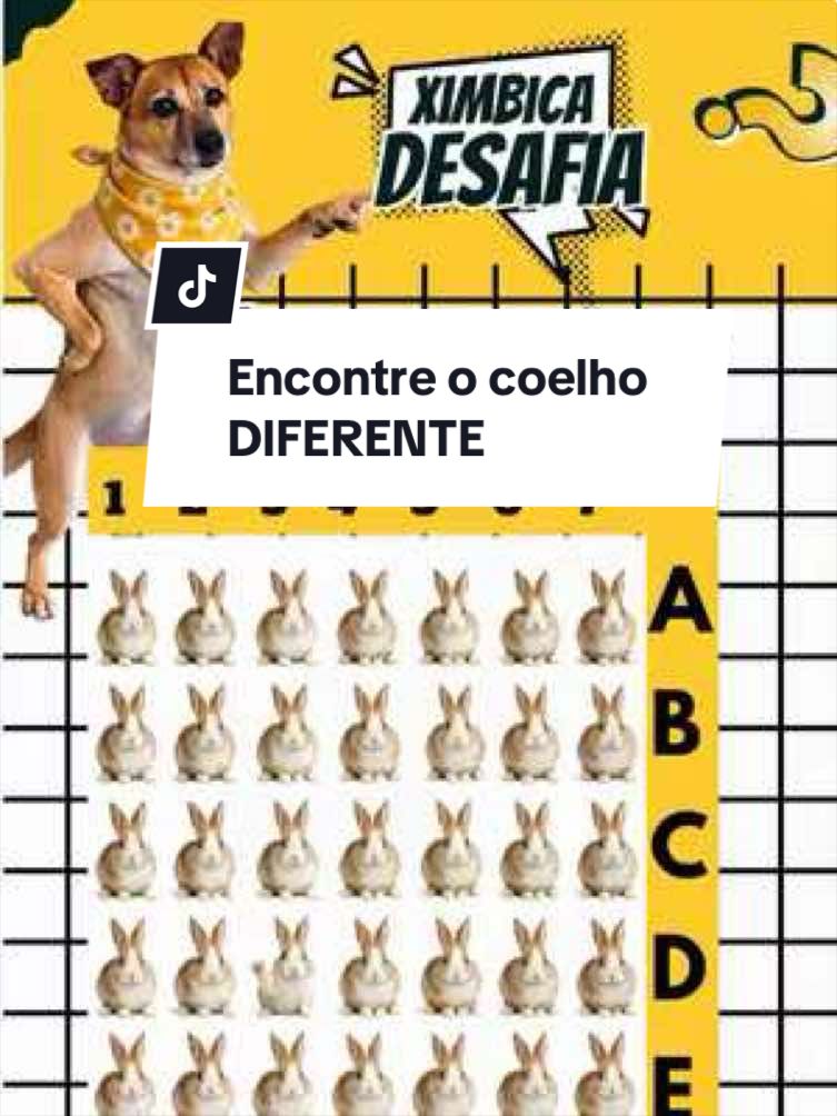 @Ximbica DESAFIA