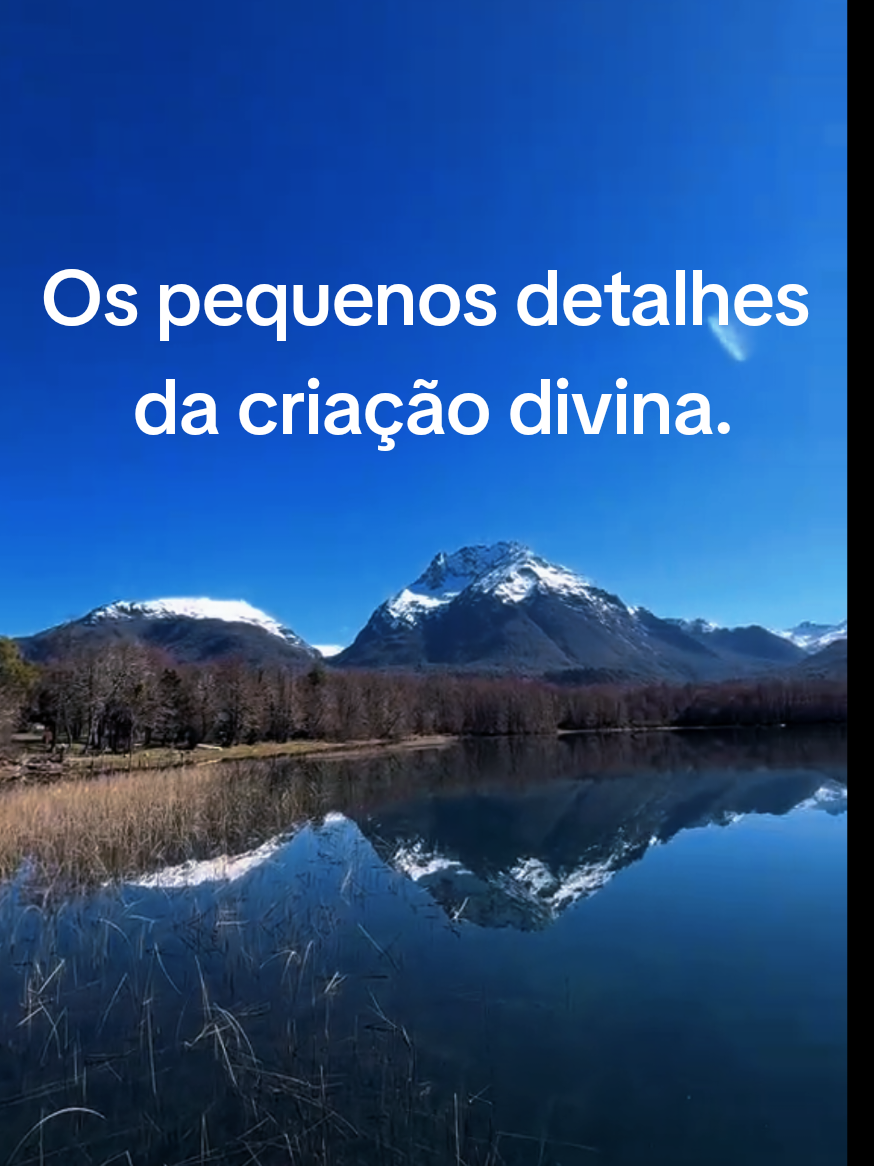 @casalviajante