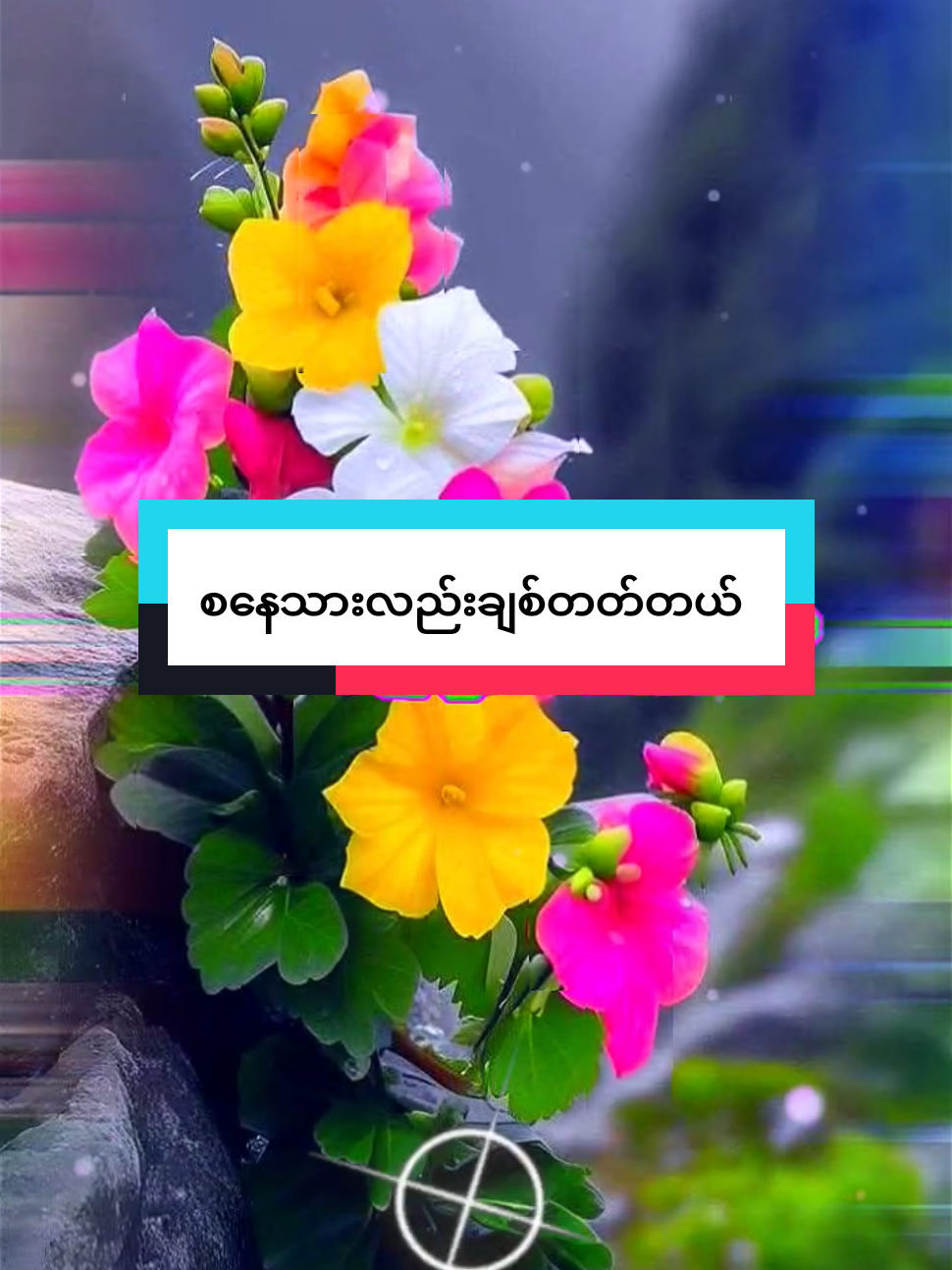 @đ
đ
~đđ¨~đđ˛đ˘