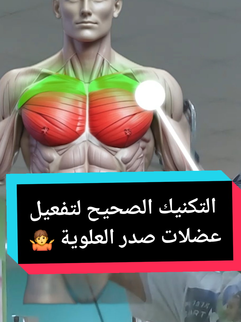 @Fitness.King