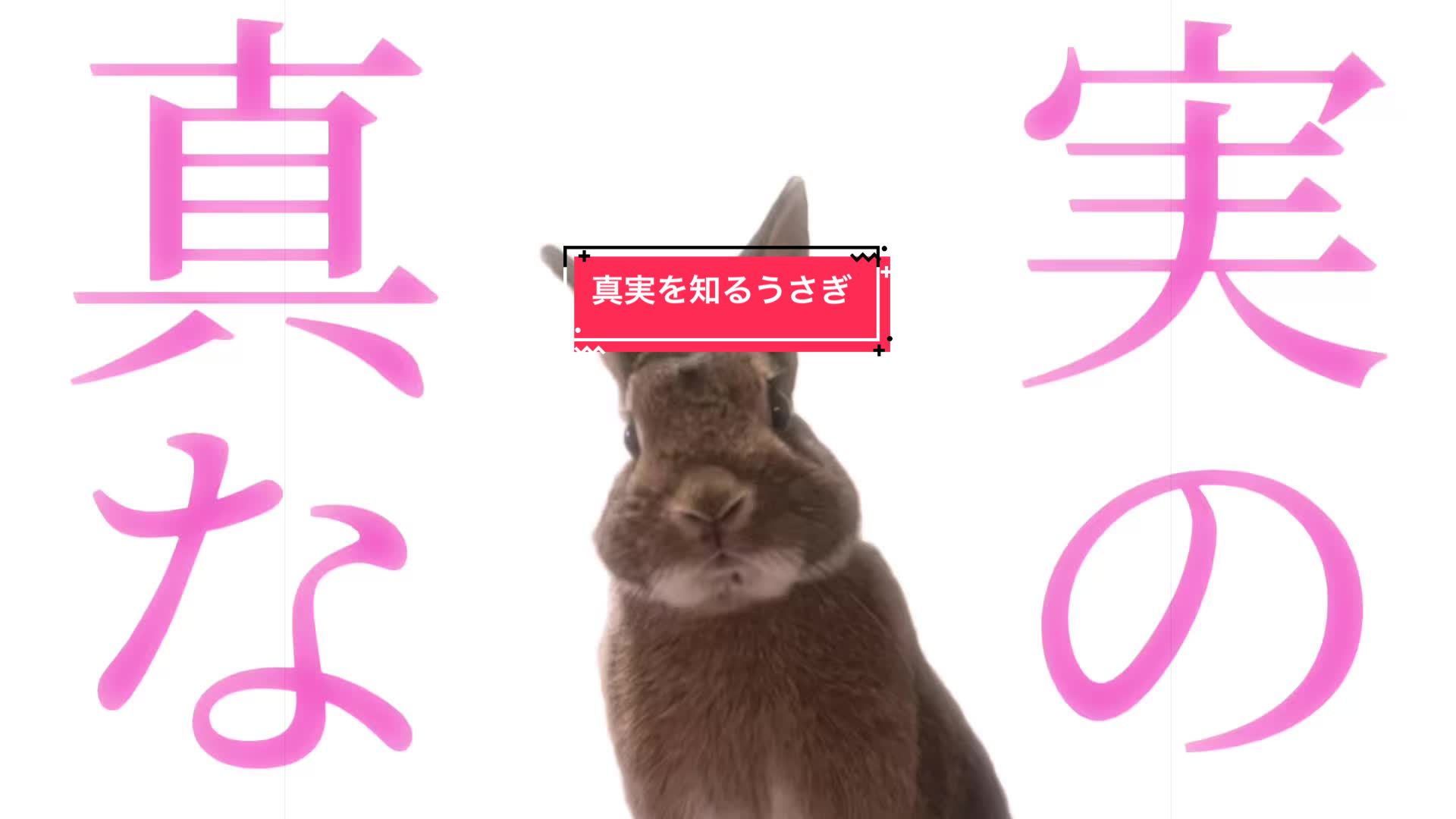 @さーちゃん🍩わらつぶ🐰