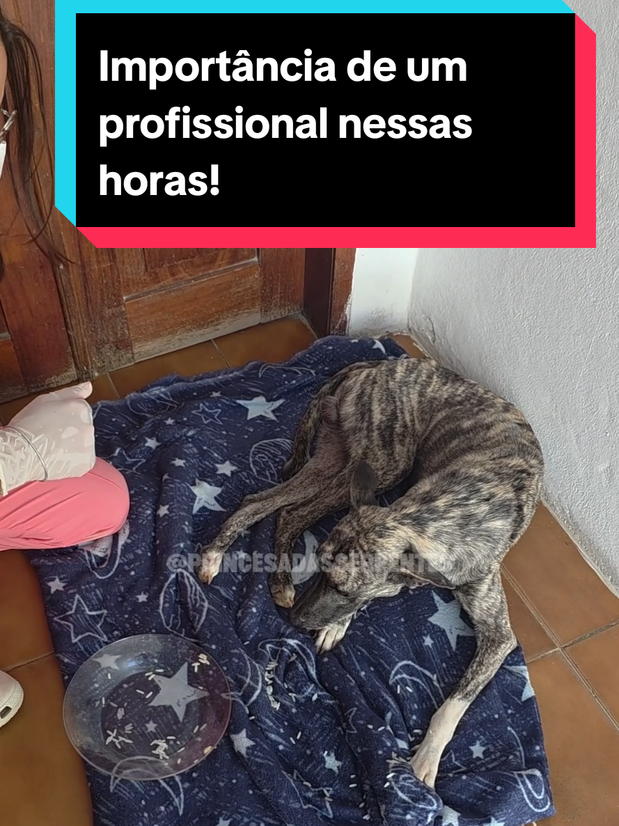 @Princesa das Serpentes