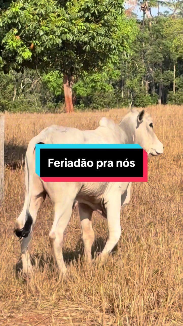 @🍀Santos🚜