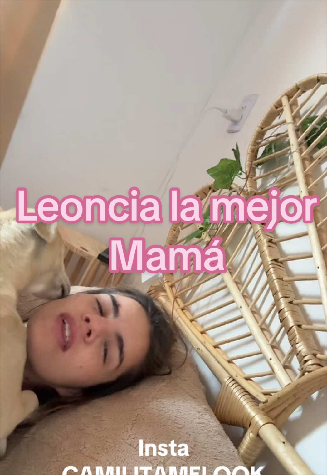 @camilitamelook