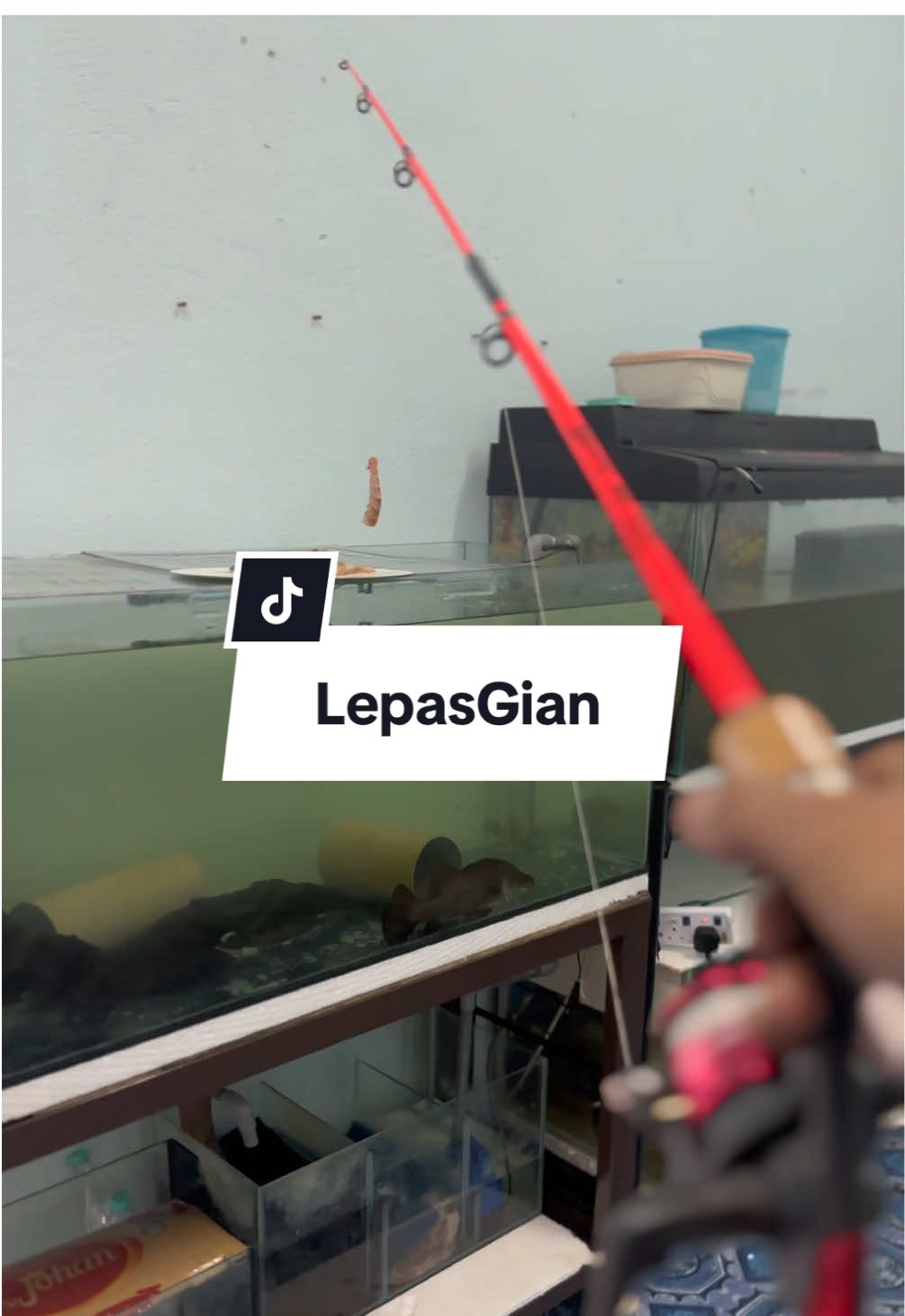 @#NasCaster🎣