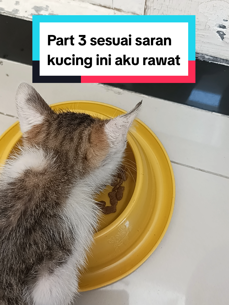@Fend