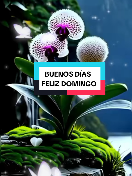 @chin@❤