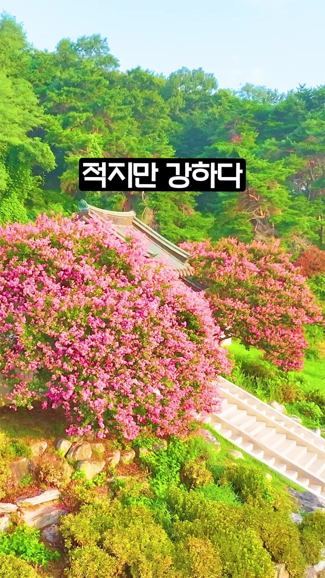 @Ddoo_pd