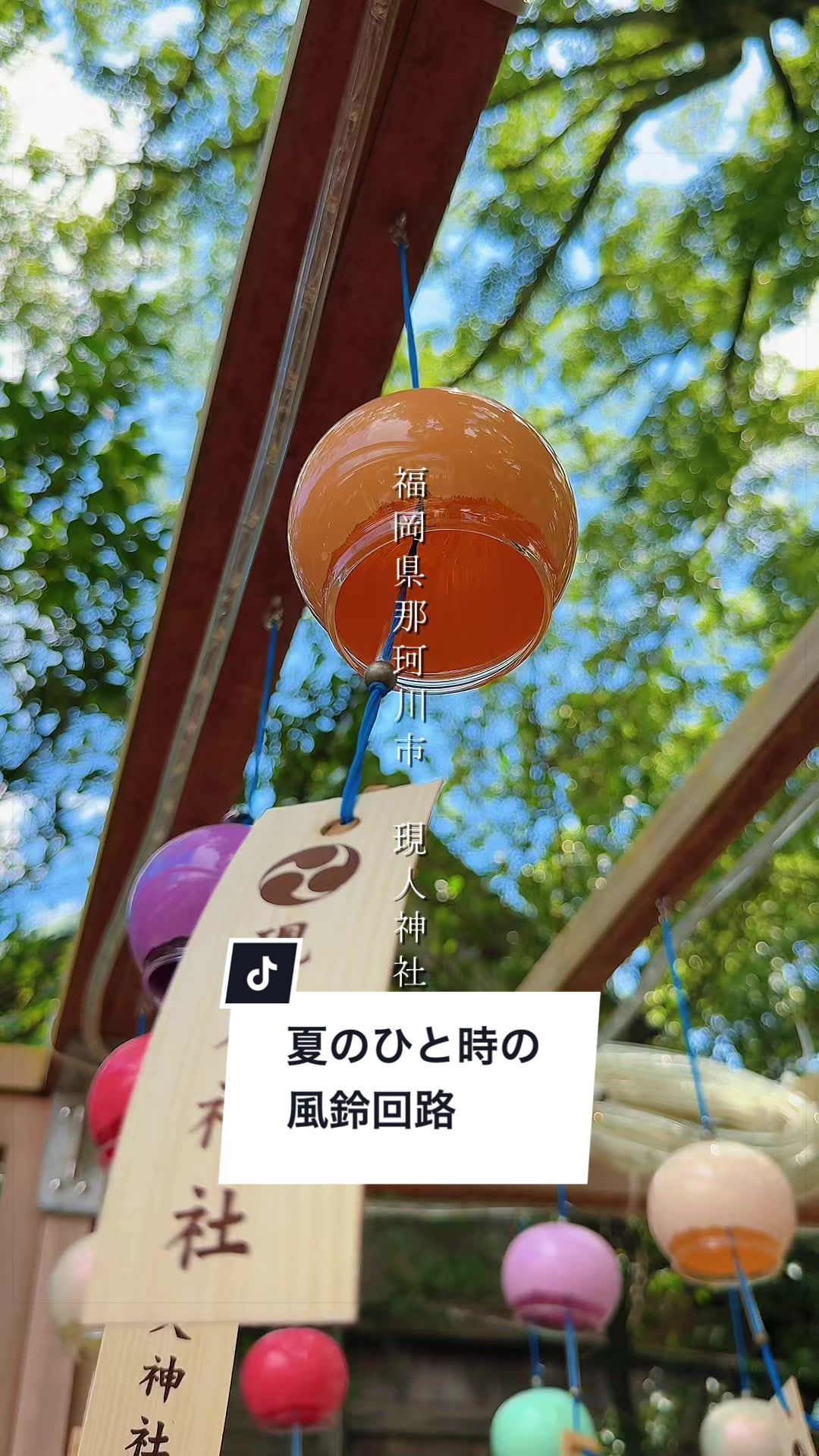 @俺たちならできる!?【九州イベント、観光⠀】