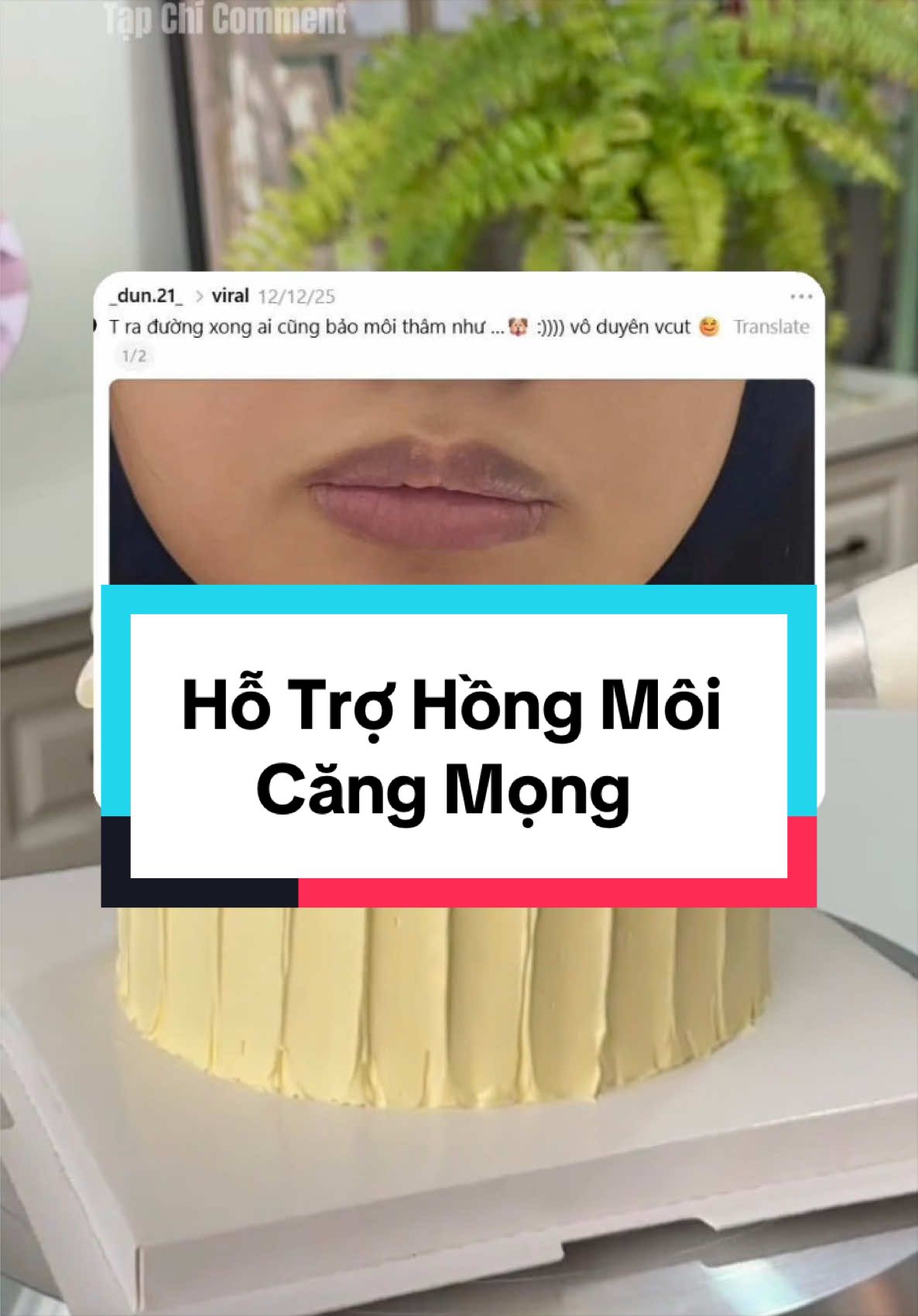 @Tạp Ch&iacute; Comment
