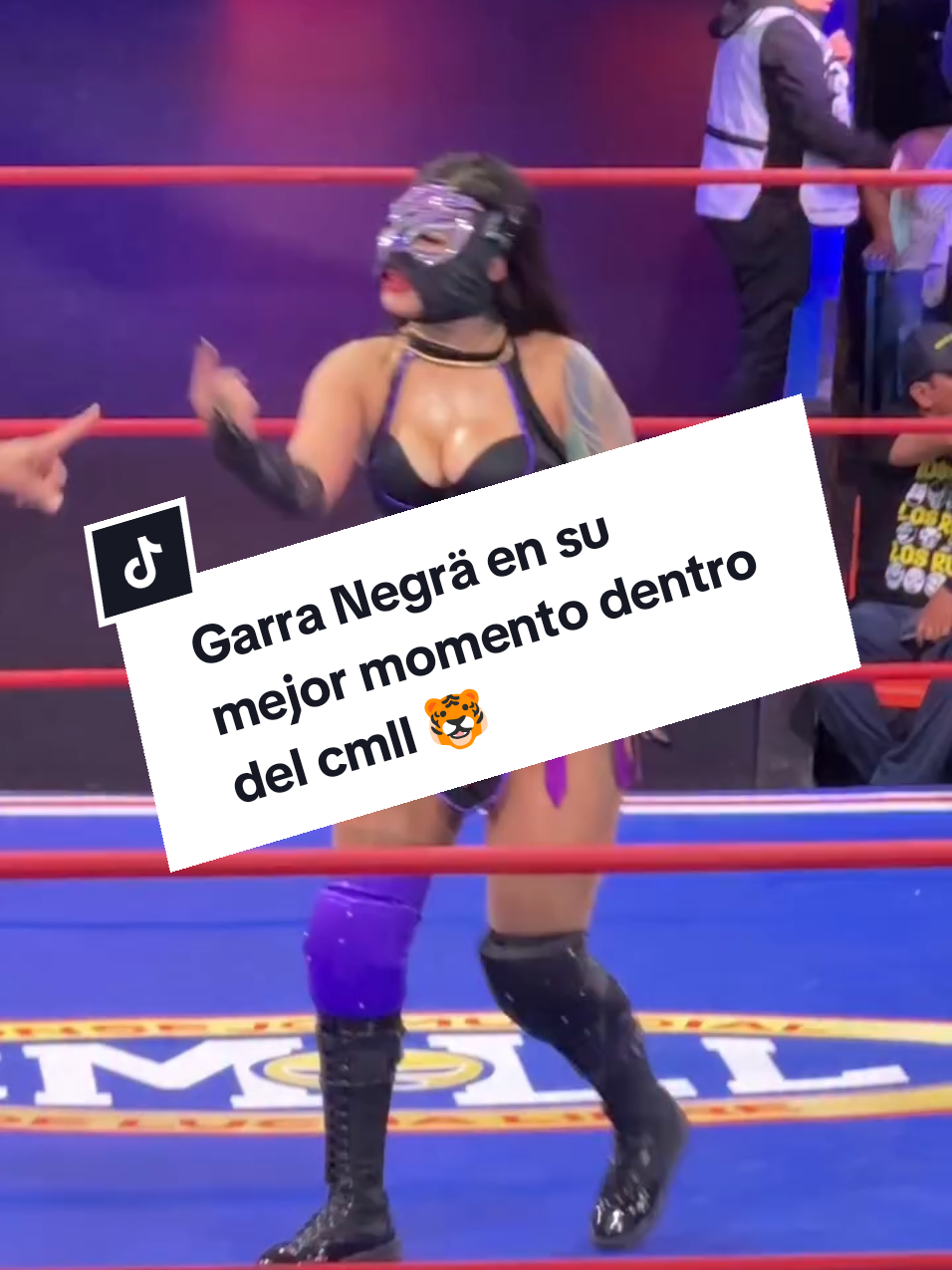 @Damas&Gladiadores Lucha Libre