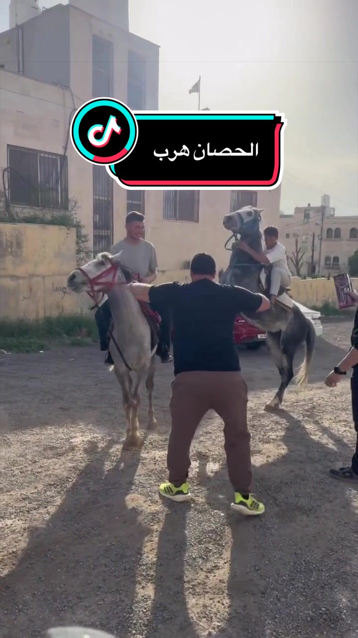@محمد أبو نحلة