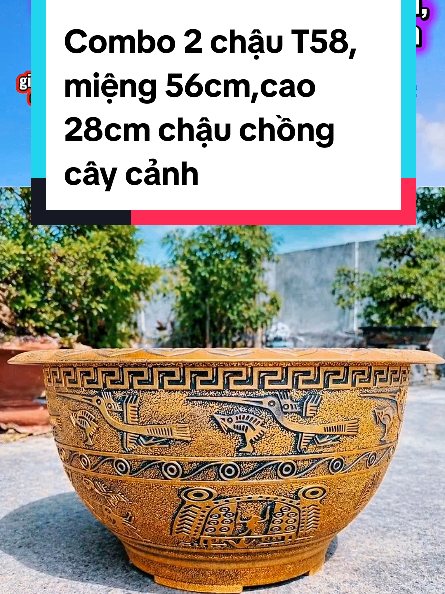 @@1Huyền Nguyễn