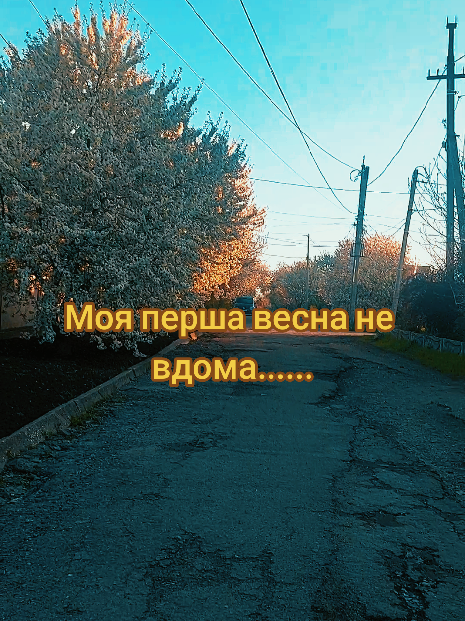 @💙Oli&ccedil;ka_Allakulyyeva💛