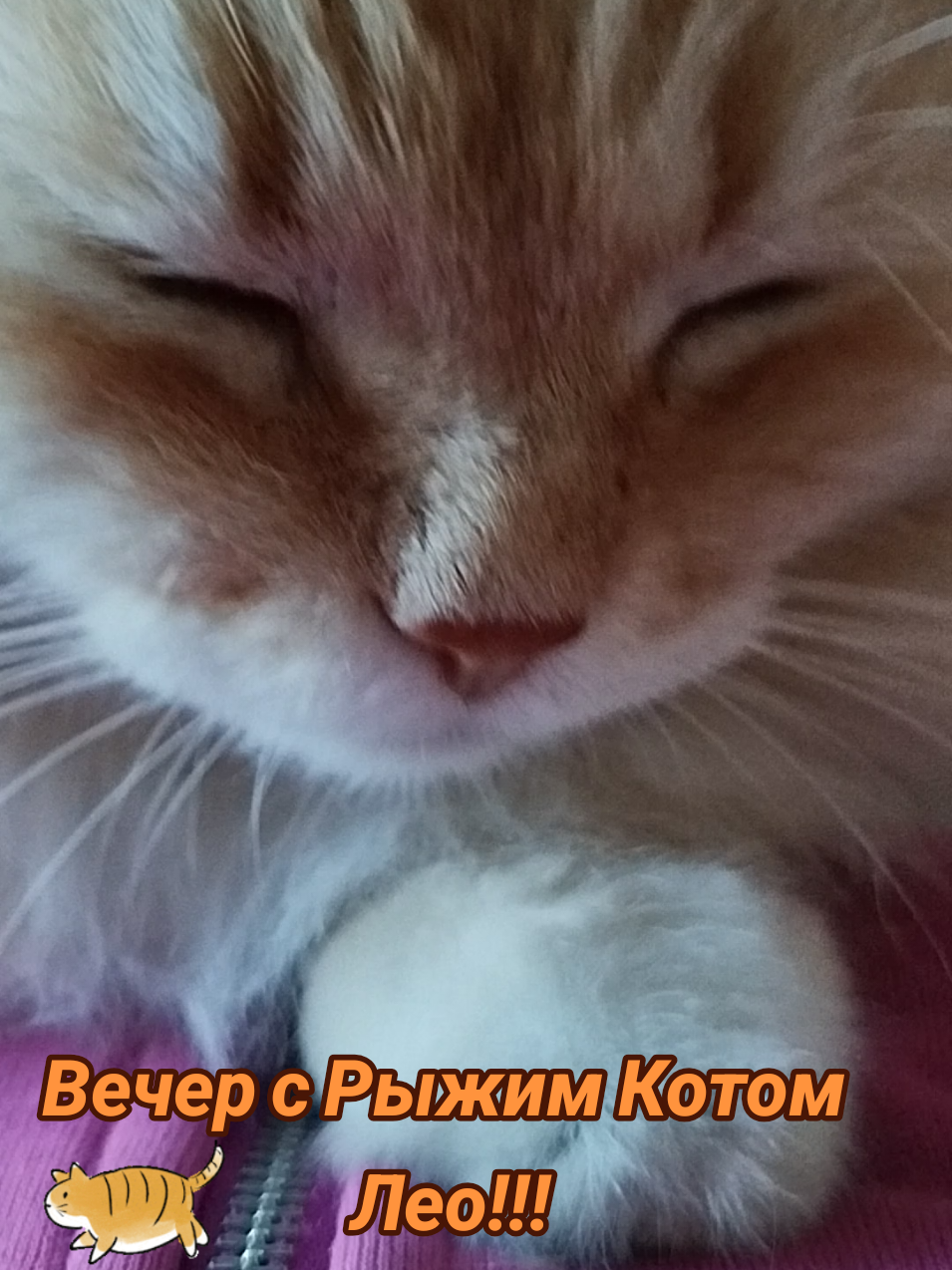 @IRINA