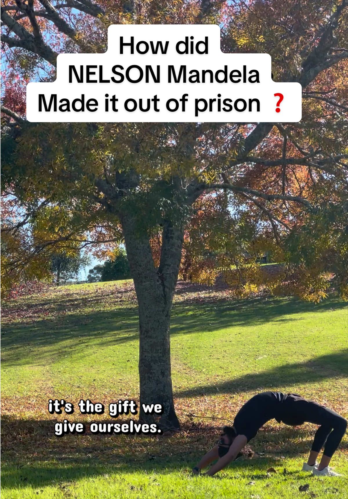 @Kamal🪷