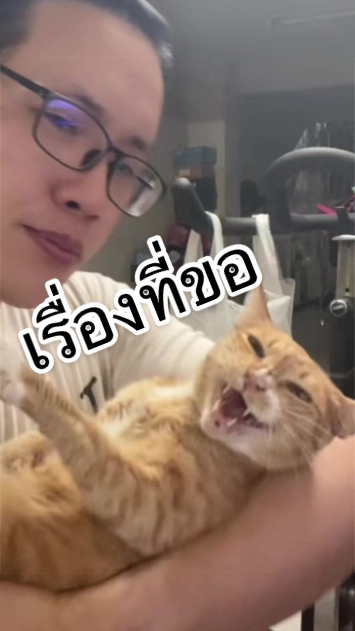 @โจ๊กโดนหมู👁️🫦👁️