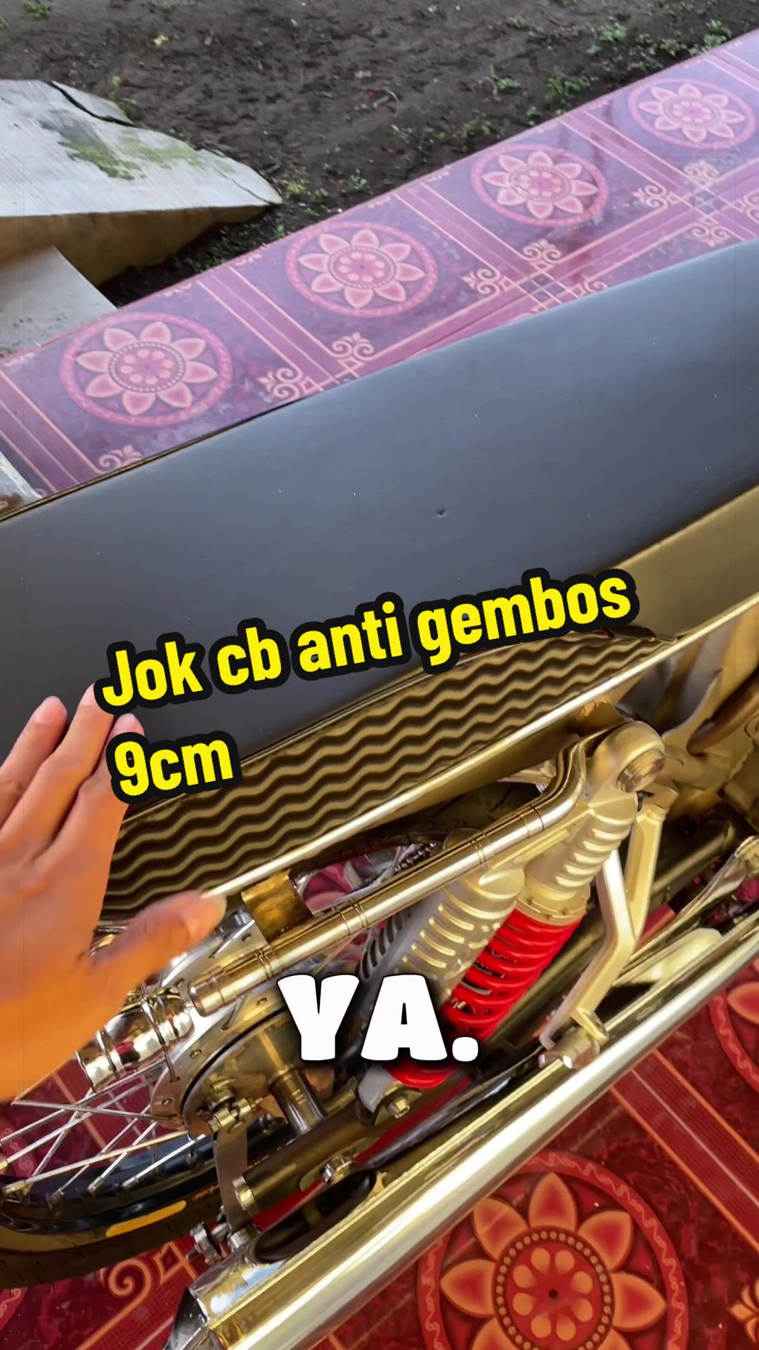@Cb💯 Alfa
