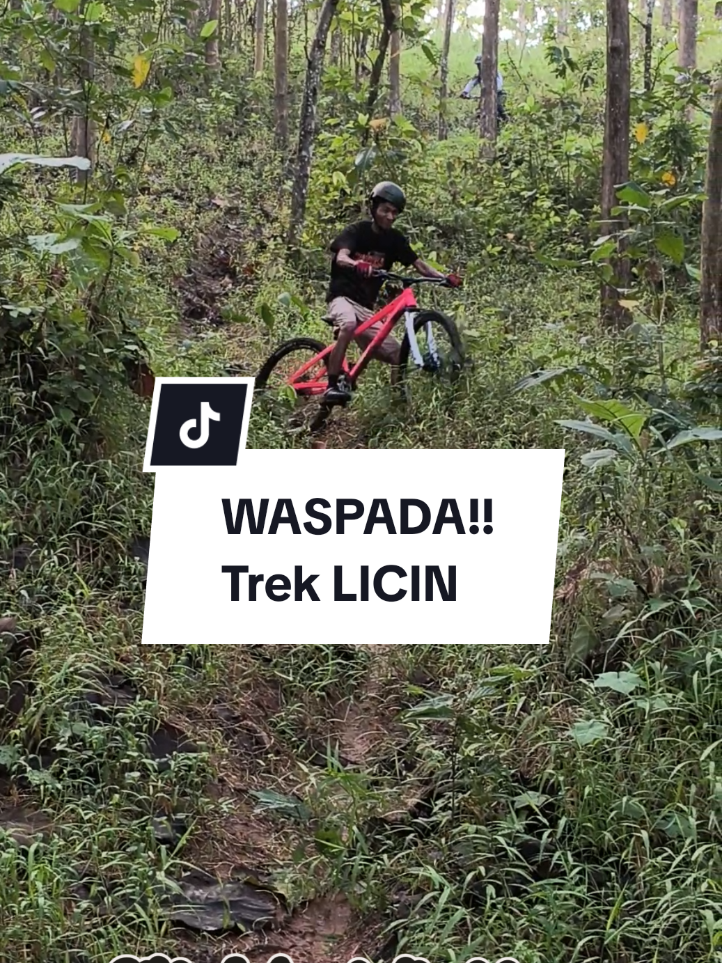 @Gagat D Bike