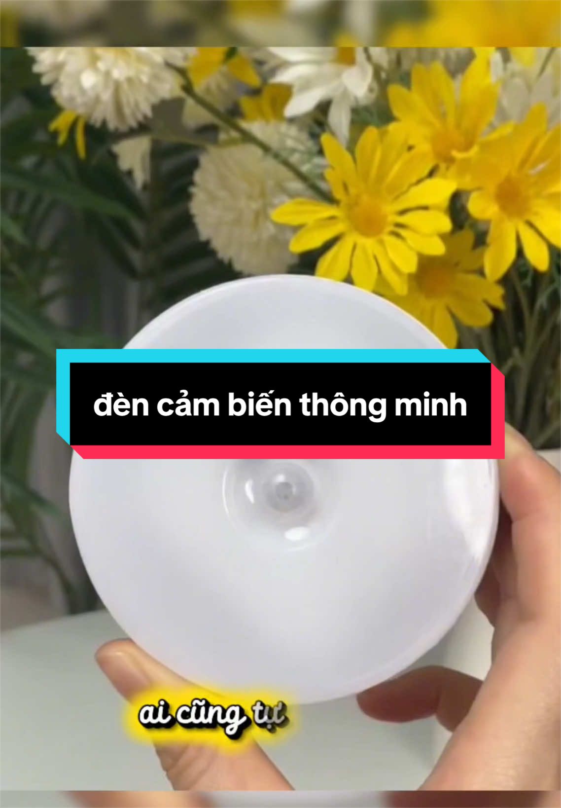@Everything 🌷 here 📩