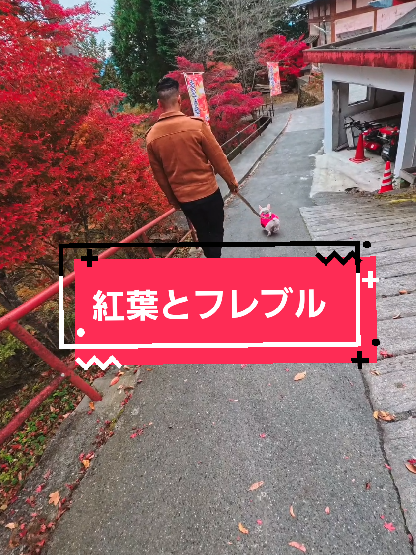 @フレブルJesse ❤️ MyO