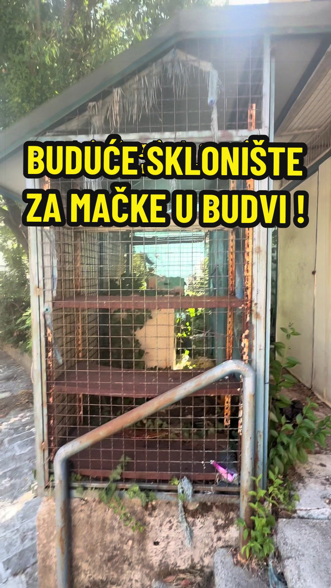 @Maja Kovijanic