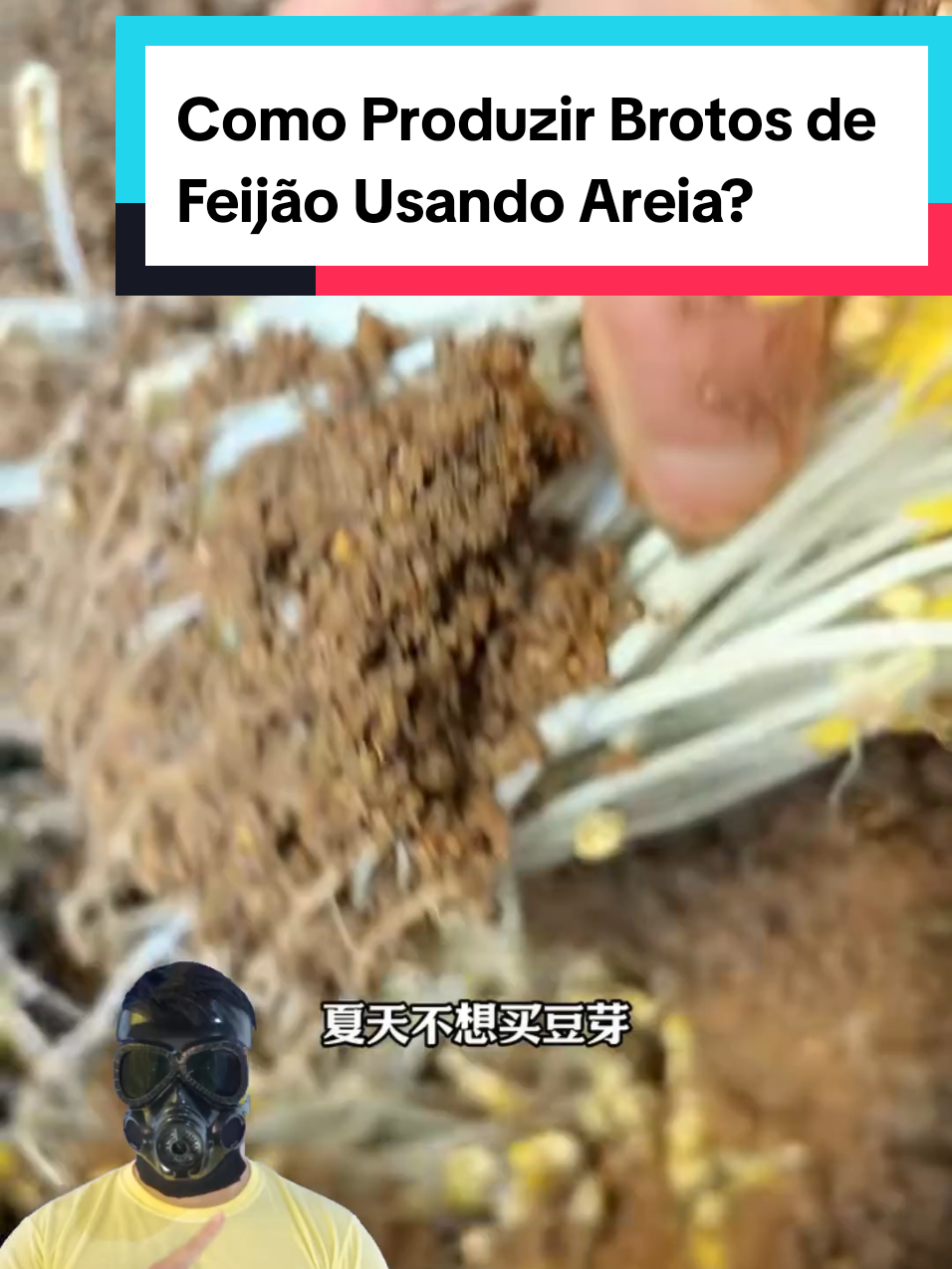 @Mundo da Curiosidades
