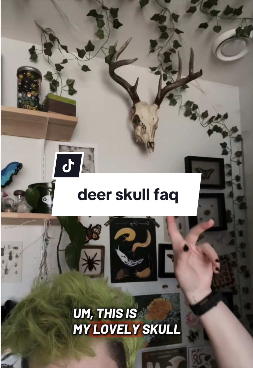@vesper (he/xe)