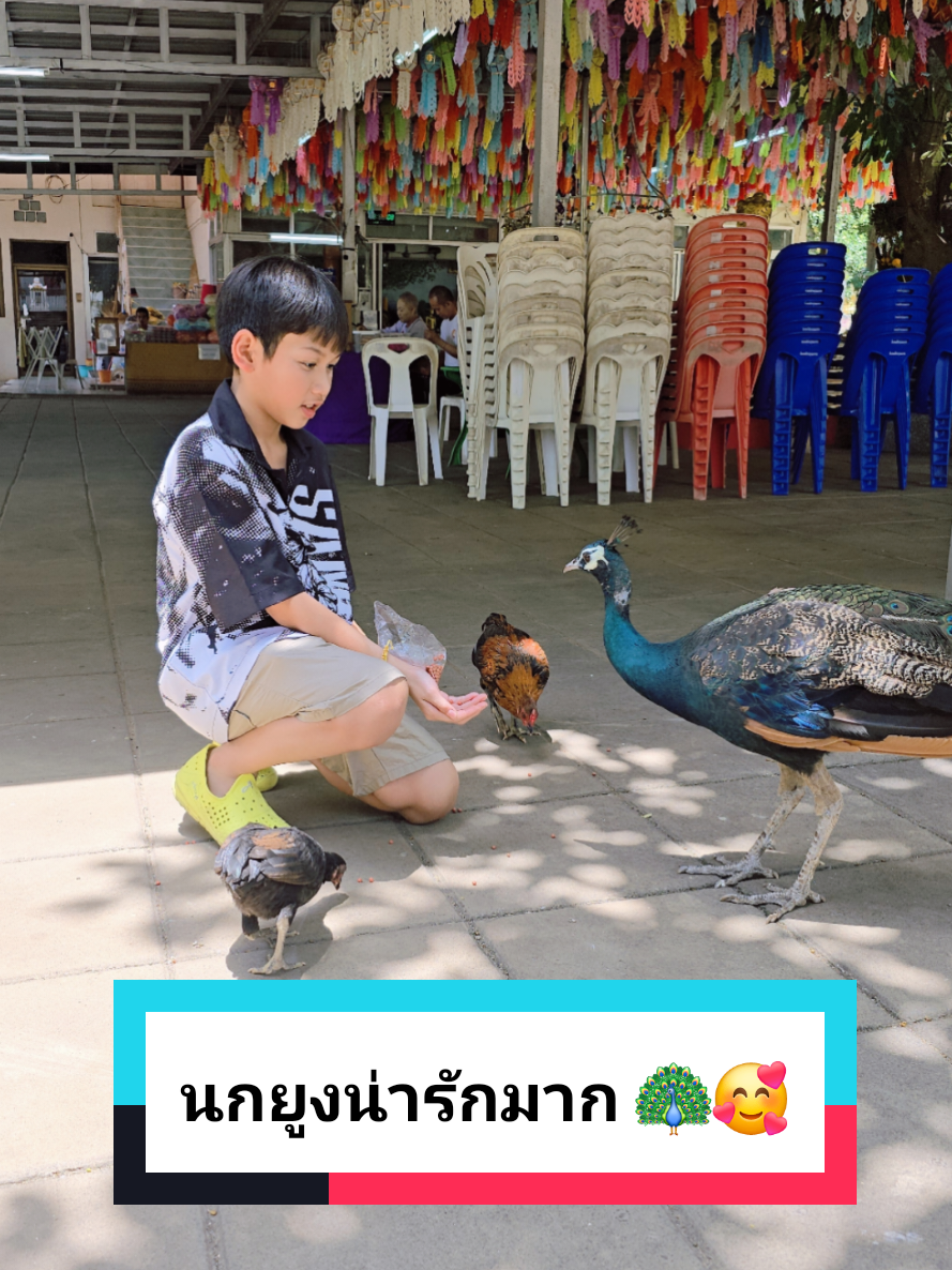 @เจนเทิลเจ้าชายกบ🐸