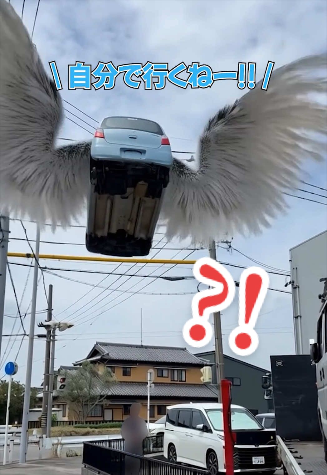 @SPEC!ほんだ