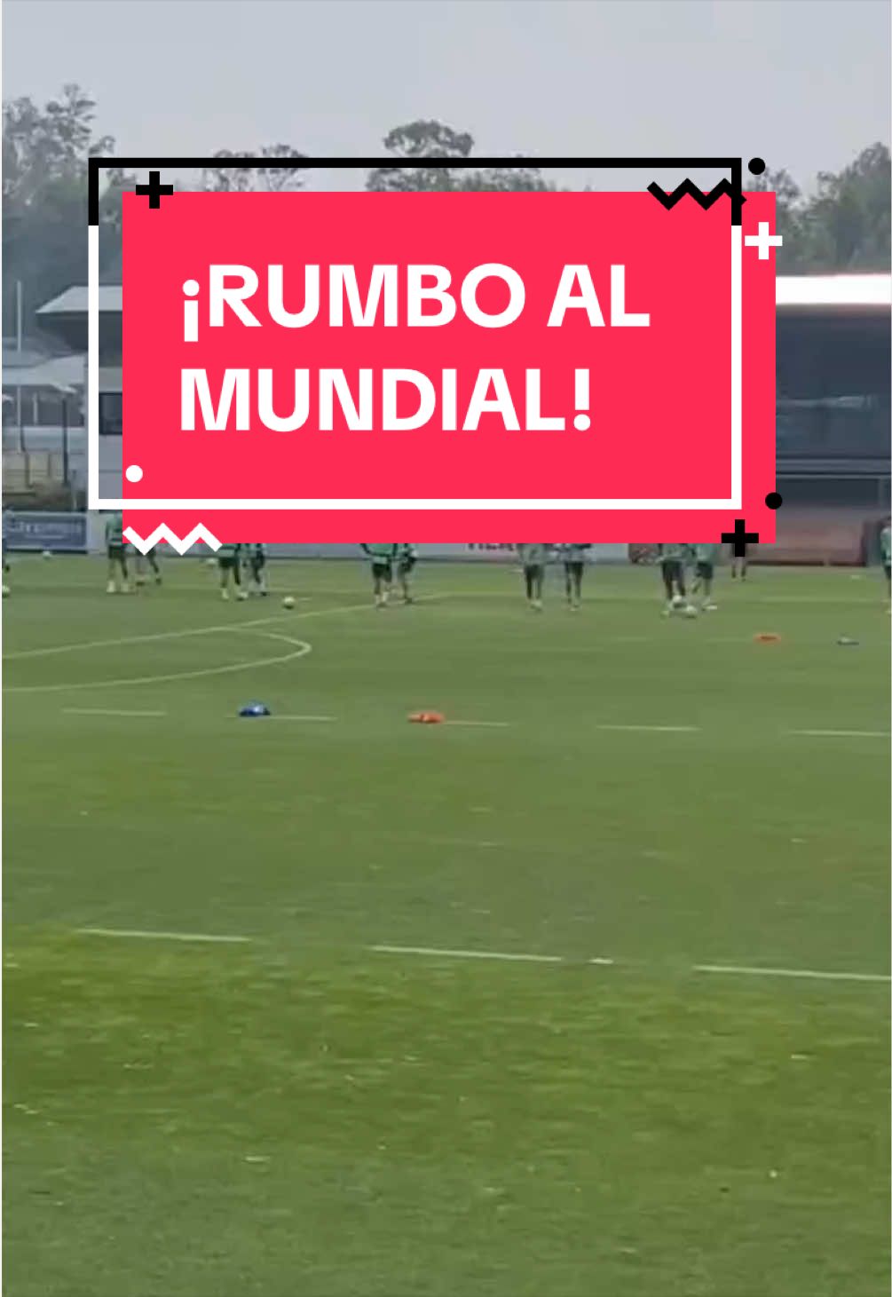 @TJ Sports