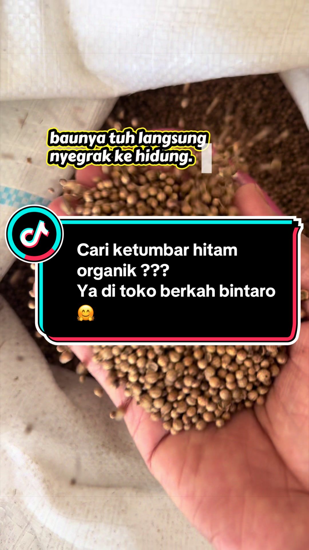 @BERKAHKURMABINTARO