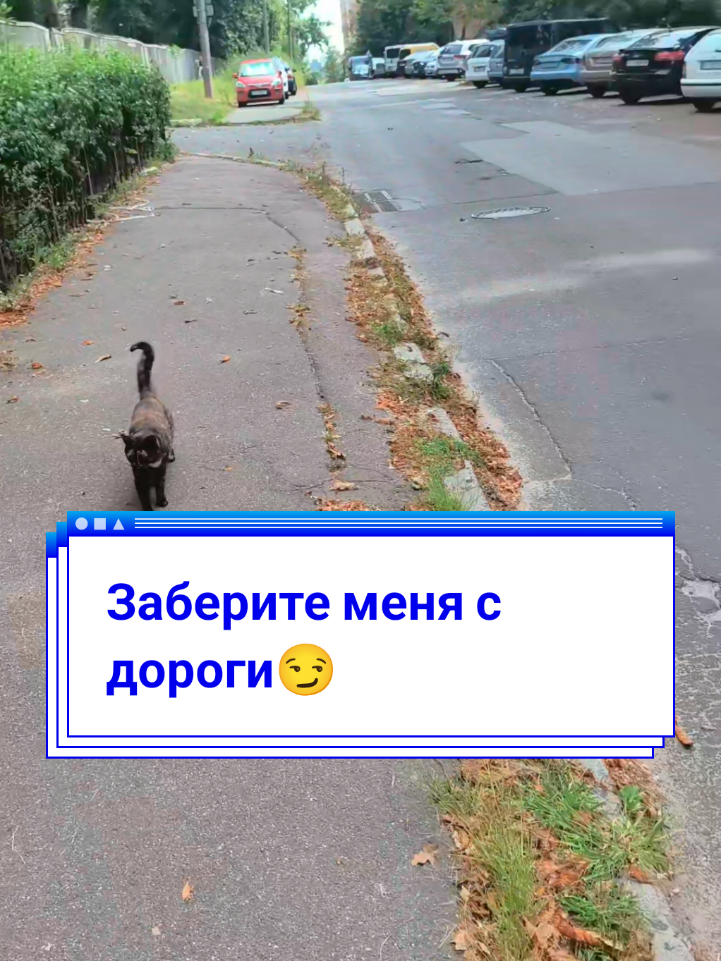 @Elena Barhat