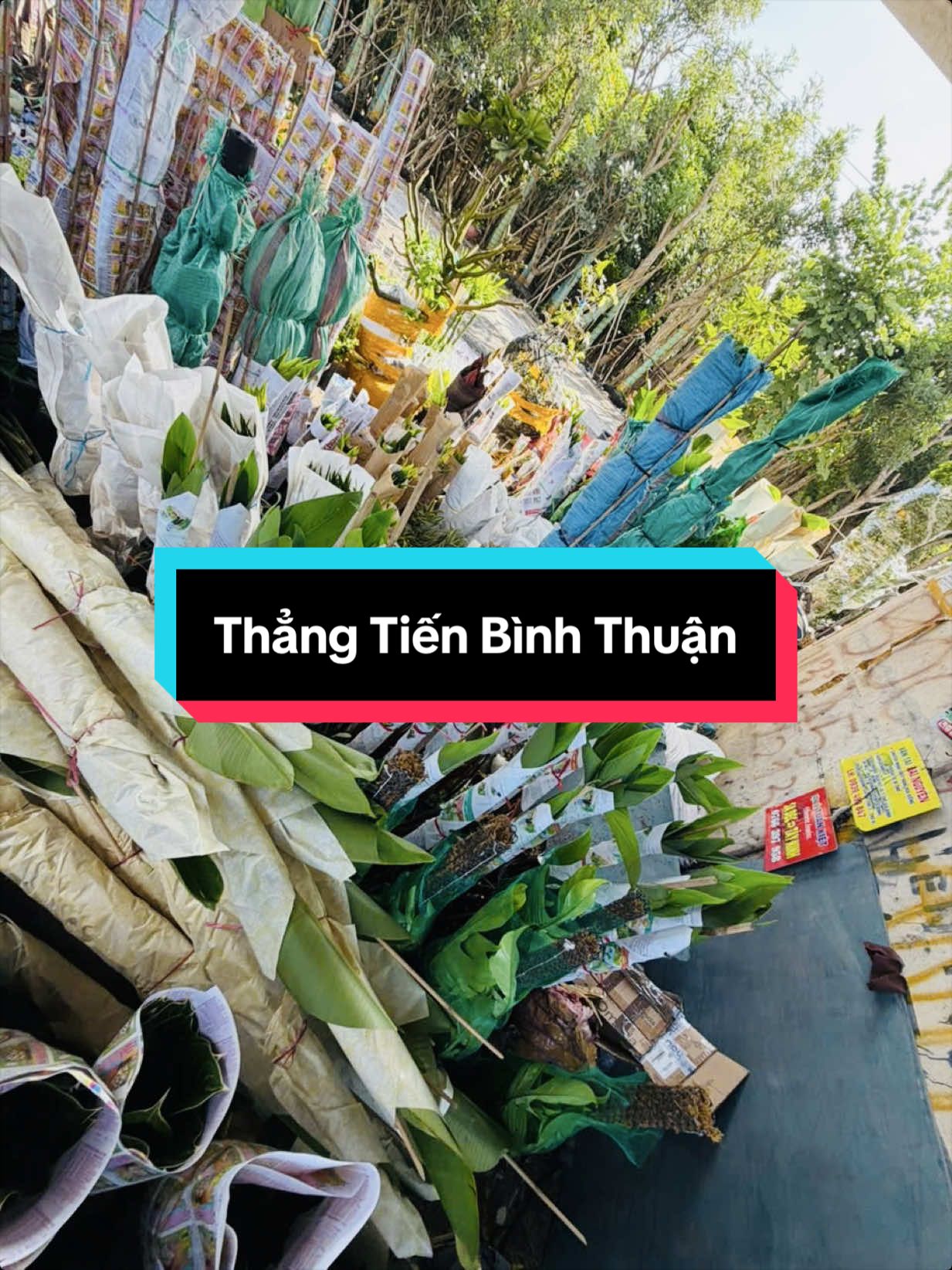 @Tiệm L&aacute; Nhỏ