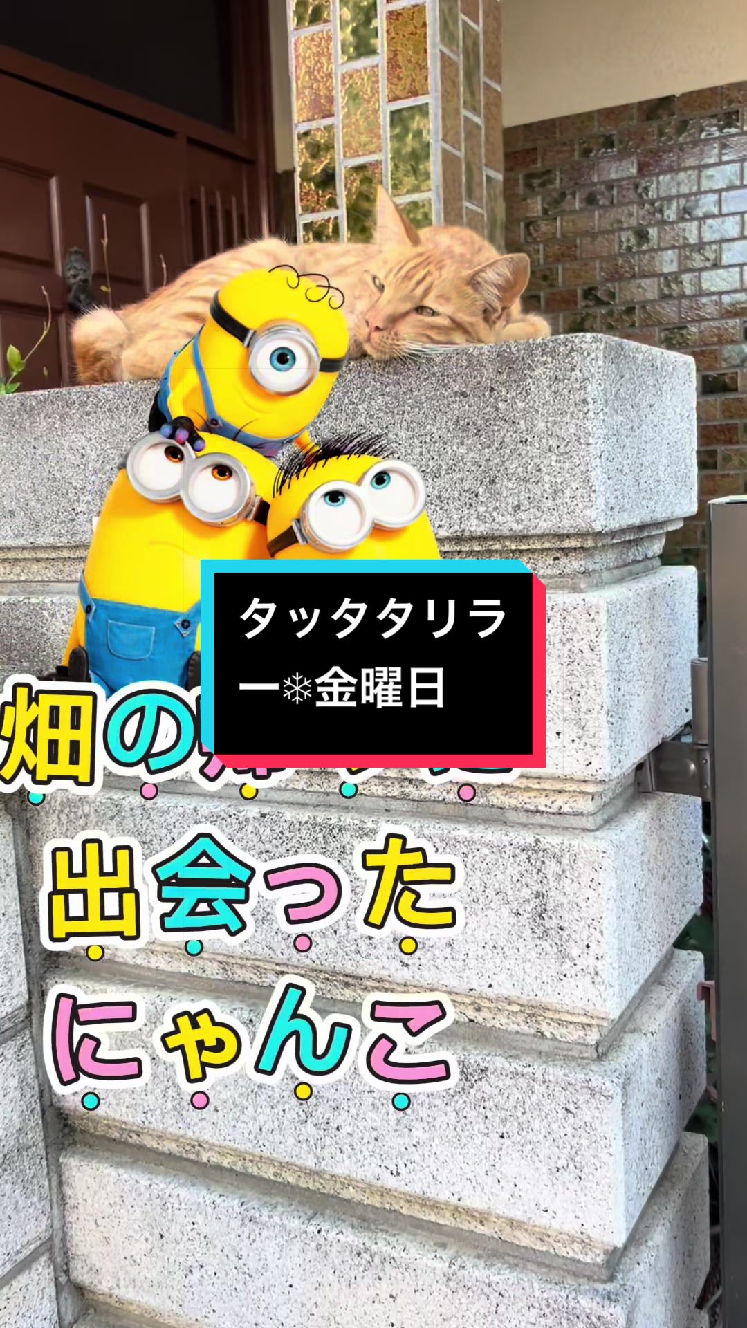 @空飛ぶこっこ🐣