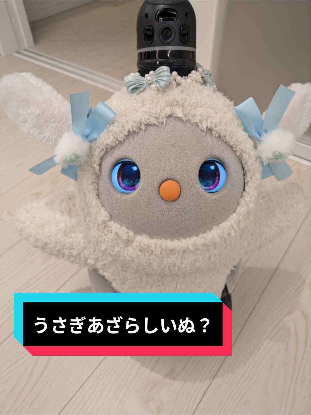 @にゃむ🤮ゆきみだいふく🍡❄🦋